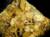 South Wheal Basset, Redruth, Cornwall, England   Crystal size  3mm