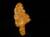 Kildonan Burn, Helmsdale, Sutherland, Scotland   Size of nugget  4mm