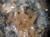Force Crag Mine, Coledale Cumberland, England    Crystal size  2.5mm