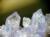 Hemerdon Bal Wolfram Mine, Plympton, Devon, England    Crystal size  1.5mm